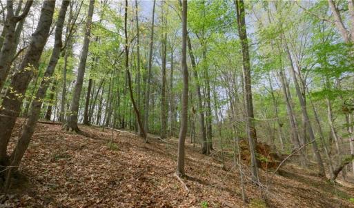 Photo #7 of 3-3 Thomas Farm, King, NC 3.0 acres
