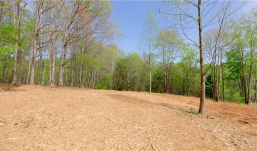 Photo #5 of 3-3 Thomas Farm, King, NC 3.0 acres