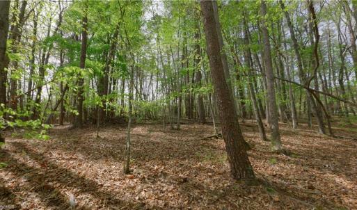 Photo #9 of 3-3 Thomas Farm, King, NC 3.0 acres