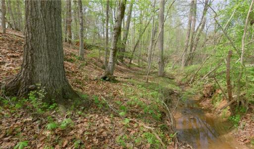 Photo #8 of 3-3 Thomas Farm, King, NC 3.0 acres