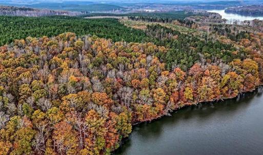 Photo #6 of Stokes Ferry, Richfield, NC 769.3 acres