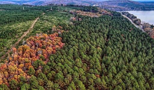 Photo #3 of Stokes Ferry, Richfield, NC 769.3 acres