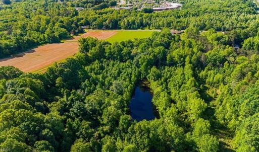Photo #6 of 8305 Meadows, Oak Ridge, NC 34.3 acres