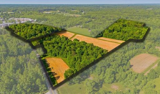 Photo #3 of 8305 Meadows, Oak Ridge, NC 34.3 acres
