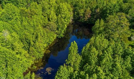 Photo #10 of 8305 Meadows, Oak Ridge, NC 34.3 acres