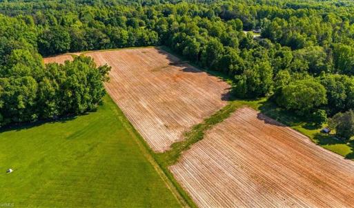 Photo #8 of 8305 Meadows, Oak Ridge, NC 34.3 acres