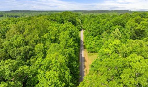 Photo #3 of Hauser, Lewisville, NC 56.1 acres