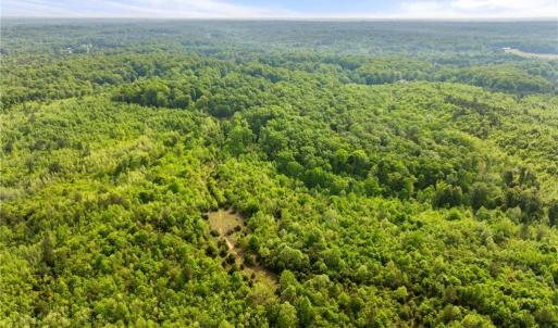 Photo #4 of Hauser, Lewisville, NC 56.1 acres