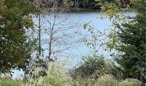 View from inside property line