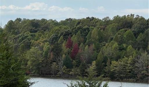 View from inside property line