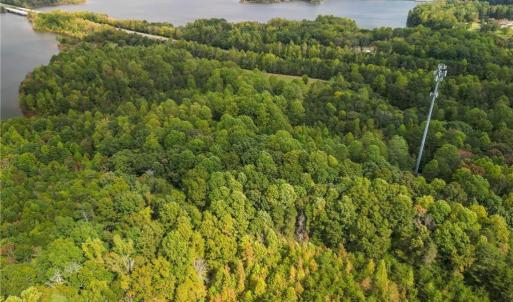 Mature hardwoods; early Fall foliage