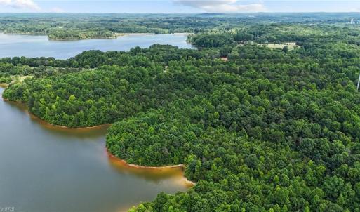 Lake edges & coves
