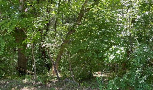 Photo #4 of Thompson, Graham, NC 12.9 acres