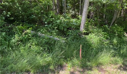 Photo #17 of 1065 Kiser Acres, King, NC 8.1 acres