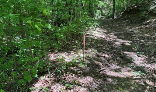 Photo #16 of 1065 Kiser Acres, King, NC 8.1 acres
