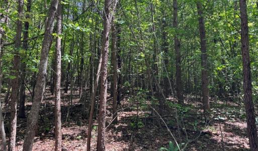 Photo #14 of 1065 Kiser Acres, King, NC 8.1 acres