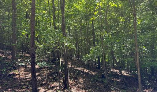 Photo #15 of 1065 Kiser Acres, King, NC 8.1 acres