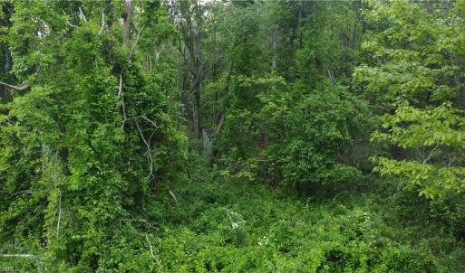 Photo #20 of TBD Stetson, Galax, VA 5.9 acres