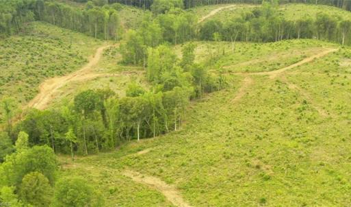 Photo #4 of Lot 10 Skeens Mill, Trinity, NC 8.3 acres