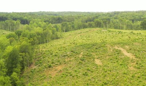 Photo #3 of Lot 10 Skeens Mill, Trinity, NC 8.3 acres
