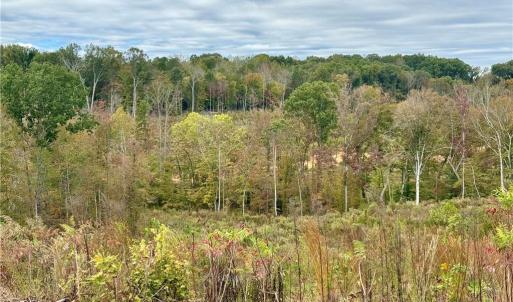 Photo #11 of Lot 10 Skeens Mill, Trinity, NC 8.3 acres