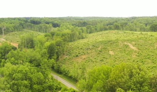 Photo #8 of Lot 10 Skeens Mill, Trinity, NC 8.3 acres