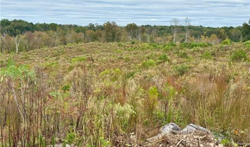 Photo #9 of Lot 10 Skeens Mill, Trinity, NC 8.3 acres