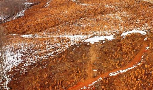 Photo #2 of Lot 10 Skeens Mill, Trinity, NC 8.3 acres