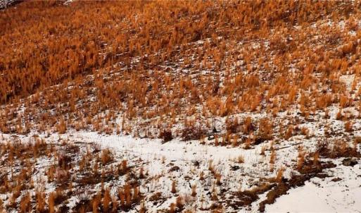 Photo #13 of Lot 10 Skeens Mill, Trinity, NC 8.3 acres