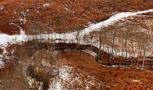 Photo #17 of Lot 10 Skeens Mill, Trinity, NC 8.3 acres