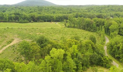 Photo #16 of Lot 10 Skeens Mill, Trinity, NC 8.3 acres