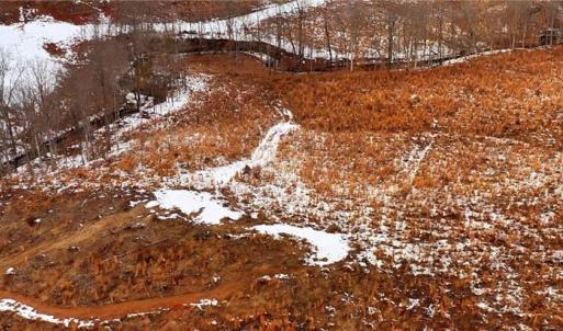 Photo #20 of Lot 10 Skeens Mill, Trinity, NC 8.3 acres