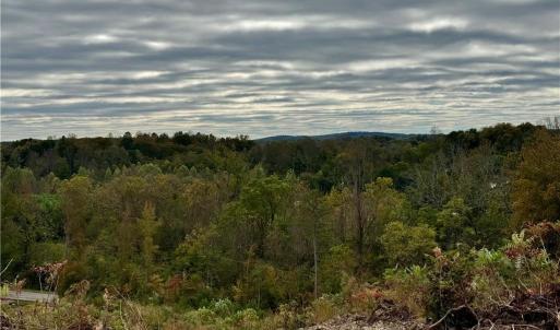 Photo #9 of Lot 10 Skeens Mill, Trinity, NC 8.3 acres