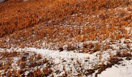 Photo #24 of Lot 10 Skeens Mill, Trinity, NC 8.3 acres