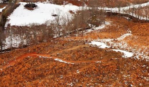 Photo #15 of Lot 10 Skeens Mill, Trinity, NC 8.3 acres