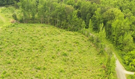 Photo #19 of Lot 10 Skeens Mill, Trinity, NC 8.3 acres