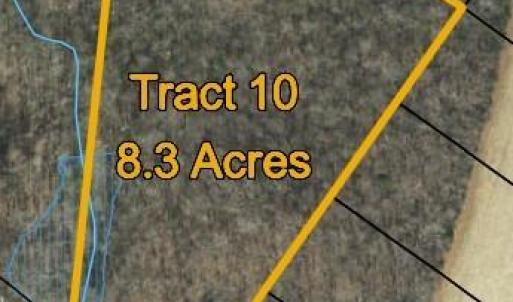 Photo #4 of Lot 10 Skeens Mill, Trinity, NC 8.3 acres