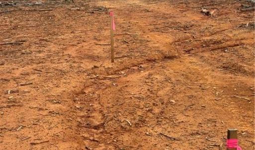 Photo #6 of Lot 12 Skeens Mill, Trinity, NC 5.4 acres