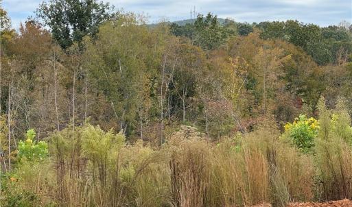 Photo #3 of Lot 12 Skeens Mill, Trinity, NC 5.4 acres