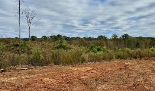 Photo #1 of Lot 12 Skeens Mill, Trinity, NC 5.4 acres