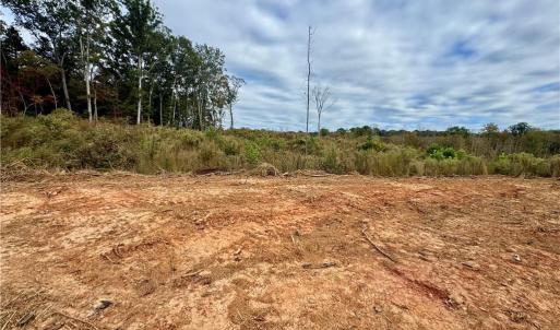 Photo #9 of Lot 12 Skeens Mill, Trinity, NC 5.4 acres