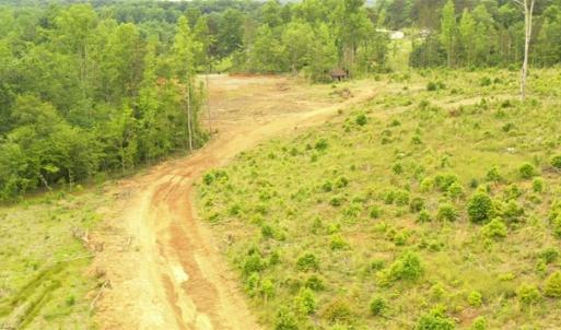 Photo #10 of Lot 12 Skeens Mill, Trinity, NC 5.4 acres