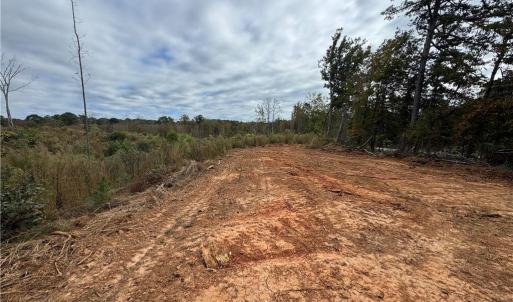 Photo #8 of Lot 12 Skeens Mill, Trinity, NC 5.4 acres