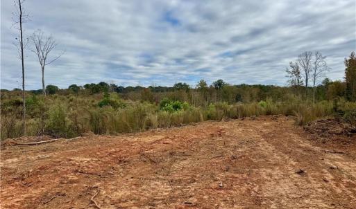 Photo #5 of Lot 12 Skeens Mill, Trinity, NC 5.4 acres