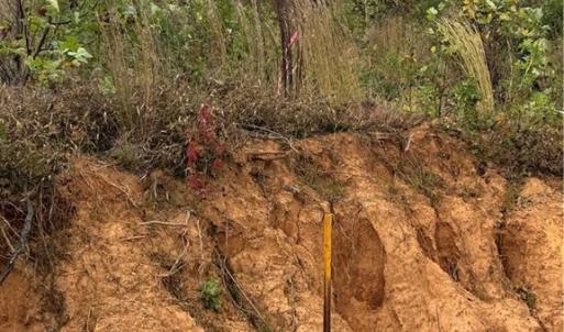 Photo #11 of Lot 12 Skeens Mill, Trinity, NC 5.4 acres