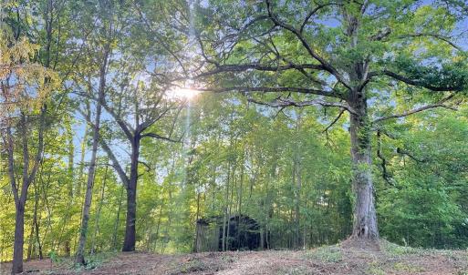 Photo #13 of 7612 Ridge, Tobaccoville, NC 6.7 acres