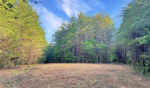 Photo #22 of 7612 Ridge, Tobaccoville, NC 6.7 acres