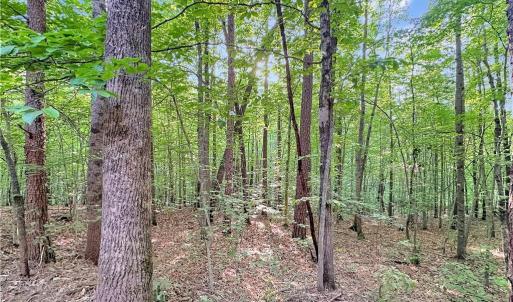 Photo #9 of 7612 Ridge, Tobaccoville, NC 6.7 acres