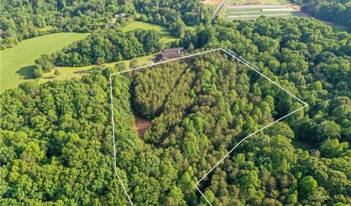 Photo #14 of 7612 Ridge, Tobaccoville, NC 6.7 acres