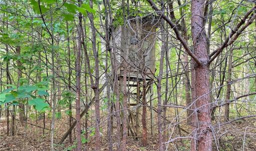 Photo #18 of 7612 Ridge, Tobaccoville, NC 6.7 acres